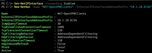 enable nat rule for openvpn server on windows