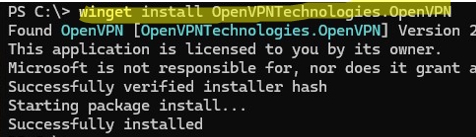 winget install openvpn client