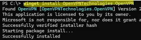 winget install openvpn client