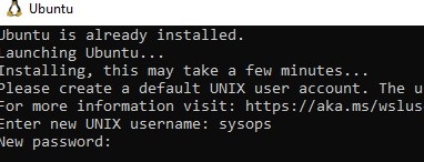 set wsl linux password