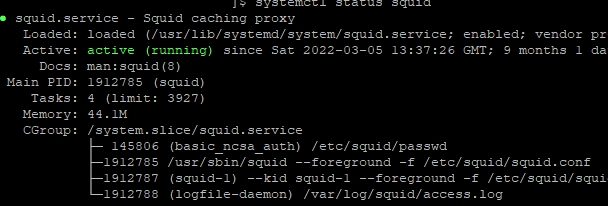 systemctl status squid on linux
