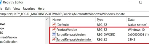 How to set target feature update version in registry