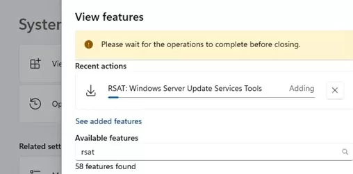 Online installing RSAT features on Windows 11