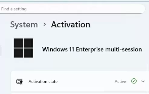windows 11 enterprise multisession activated