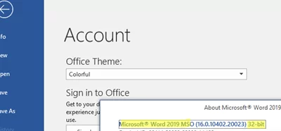 Check MS office version and edition