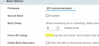 VM: enter EFI/BIOS settings