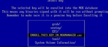 VTOYEFI -> ENROLL_THIS_KEY_IN_MOKMANAGER.cer