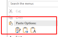 Word: paste options