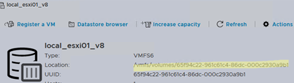 Check VMware datastore path