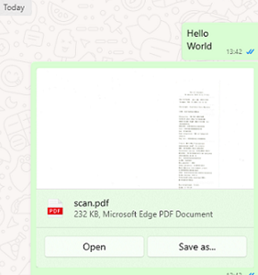 mudslide: attach file or image to WhatsApp message