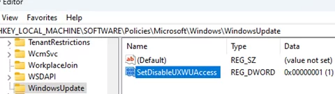 SetDisableUXWUAccess - disable Windows Update features on Windows 11