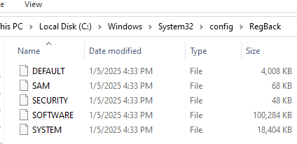 Backup files in RegBack folder