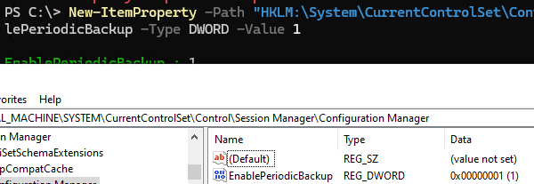 EnablePeriodicBackup - registry parameter