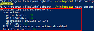 check winlogbeat configuration on windows