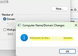 successfully domain join