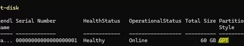 check GPT partition style