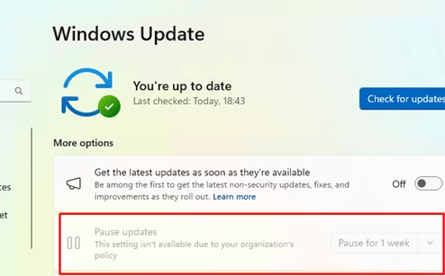 Greyed-out Pause Updates option in Windows 11