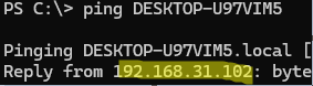 Ping over IPv4 instead of IPv6
