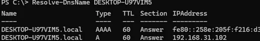 Resolve-DnsName returns A and AAAA records with IPv4 and IPv6 addresses 