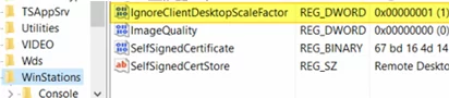 IgnoreClientDesktopScaleFactor allows to prevent automatically scale with client DPI
