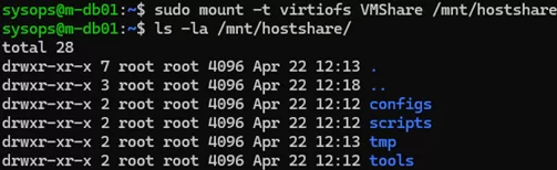 mount shared directory from a Proxmox in Linux guest VM