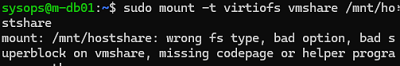 mount virtiofs - wrong fs type, bad option, bad superblock 