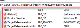 Registry settings prevent Windows build update