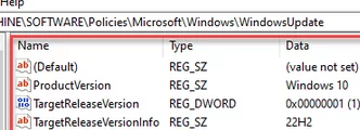 Registry settings prevent Windows build update