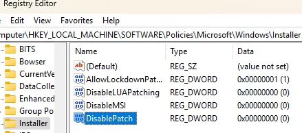 DisablePatch and DisableMSI registry parameters