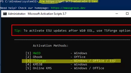 Join ESU using TSforge in massgrave