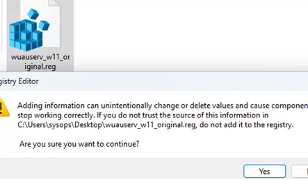 import reg file with wuauserv settings