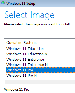 Select Windows 11 edition to install