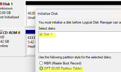 Initialize disk with GPT partition table