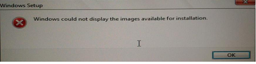 Windows 11 Instaler could not display the images available for installation