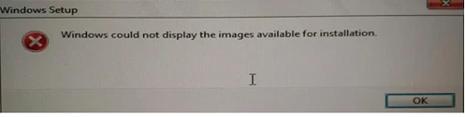 Windows 11 Instaler could not display the images available for installation