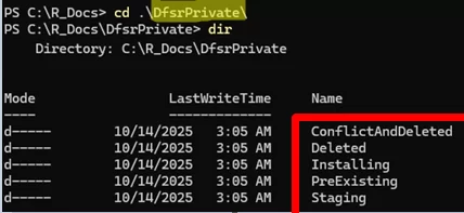 DFSRPrivate folder