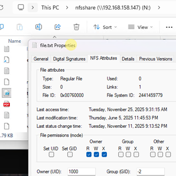 NFS file attributes is File Explorer on Windows
