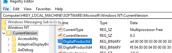 DigitalProductID - registry entry stores the encrypted Windows product key (license key)