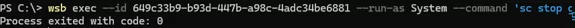 wsb exec - executing commands in Windows Sandbox