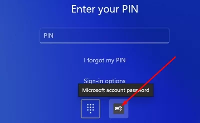Add the option to login with Microsoft account password on Windows 11 sign in screen