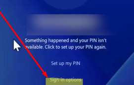 Sign Windows with MSA password instead PIN
