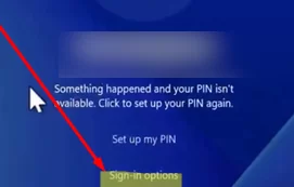 Sign Windows with MSA password instead PIN
