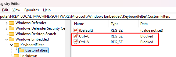 Block custom keybaord shorctuts via registry
