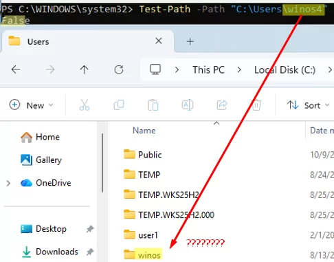 Check if user profile folder exists