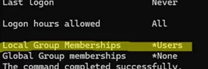 check user local membership with net user command