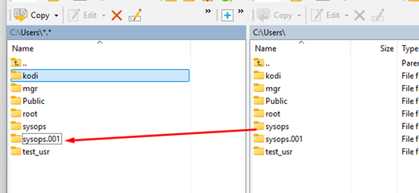 copy user profile files to a new profile folder