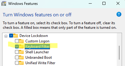 Enable Keyboard Filter on Windows 11