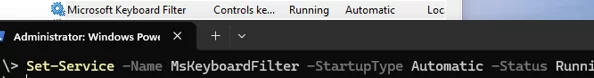 Set MsKeyboardFilter service to start automatically